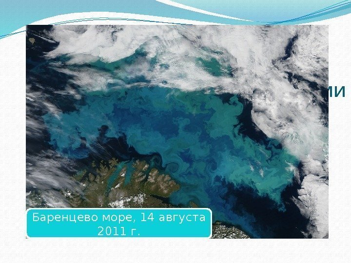 Водные завихрения,  подсвеченные одноклеточными водорослями Баренцево море, 14 августа 2011 г. 17 45
