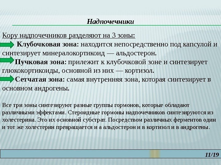 11/19 Надпочечники Кору надпочечников разделяют на 3 зоны:  Клубочковая зона : находится непосредственно