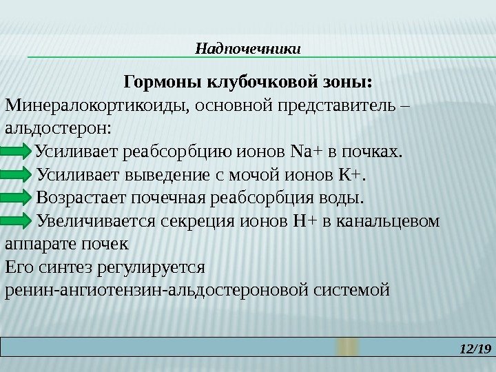 12/19 Надпочечники Гормоны клубочковой зоны: Минералокортикоиды, основной представитель – альдостерон:   Усиливает реабсорбцию