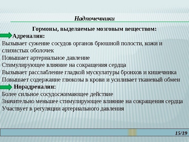 15/19 Надпочечники Гормоны, выделяемые мозговым веществом:   Адреналин: Вызывает сужение сосудов органов брюшной