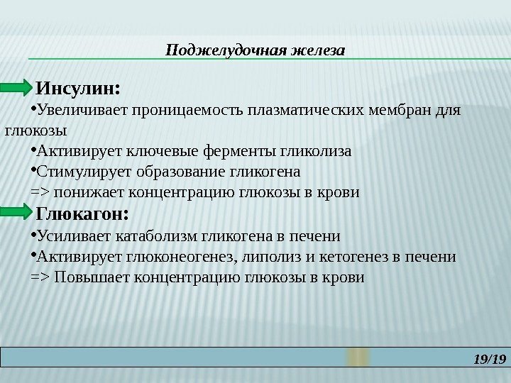 19/19 Поджелудочная железа  Инсулин:  • Увеличивает проницаемость плазматических мембран для глюкозы •