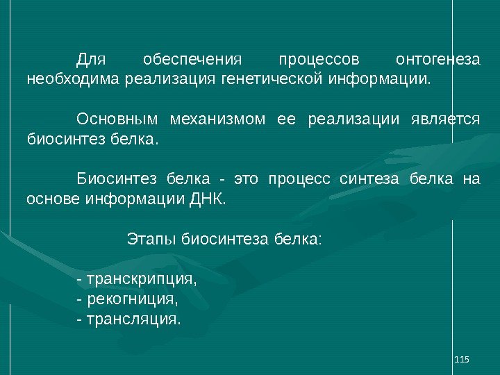 115 Для обеспечения процессов онтогенеза необходима реализация генетической информации.  Основным механизмом ее реализации