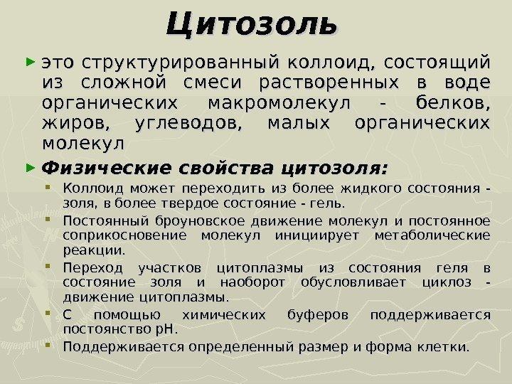 Цитозоль  ► это структурированный коллоид,  состоящий из сложной смеси растворенных в воде