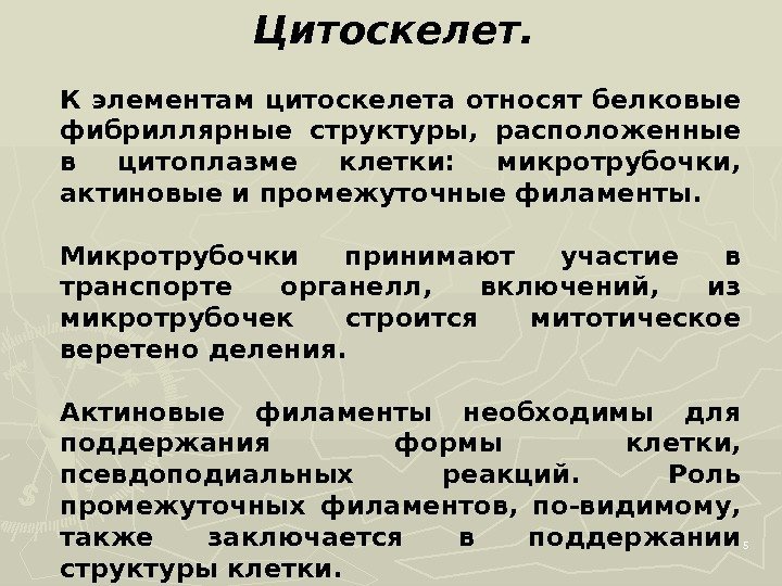 5 Цитоскелет.  К элементам цитоскелета относят белковые фибриллярные структуры,  расположенные в цитоплазме