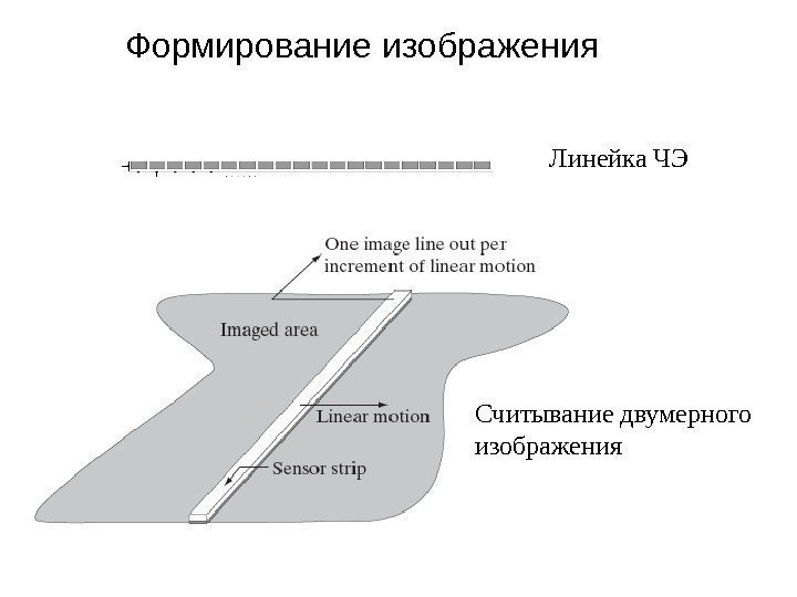 Формирование изображения Линейка ЧЭ Считывание двумерного изображения 