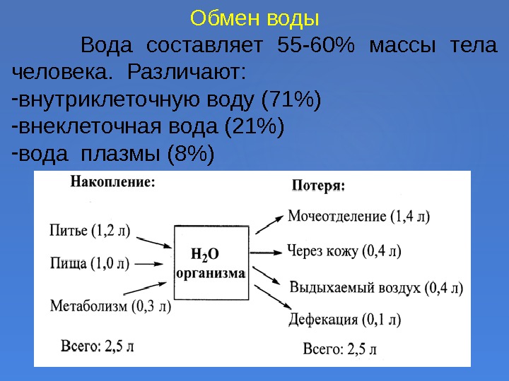 Обмен воды  Вода составляет 55 -60 массы тела человека.  Различают: - внутриклеточную