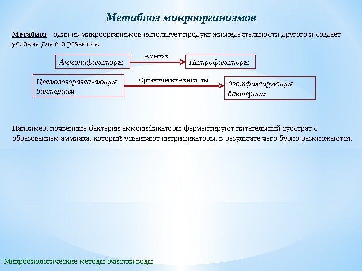 Метабиоз - один из микроорганизмов использует продукт жизнедеятельности другого и создает условия для его