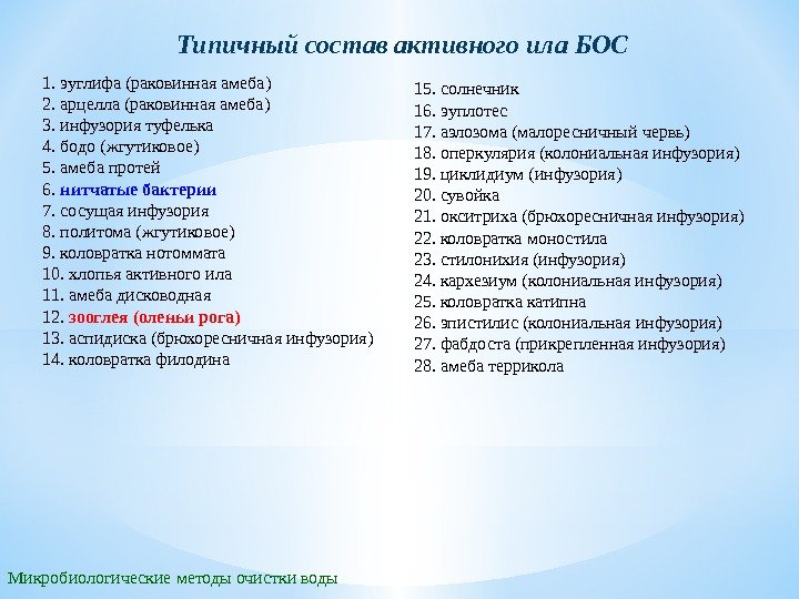 Микробиологические методы очистки воды Типичный состав активного ила БОС 1. эуглифа (раковинная амеба) 2.