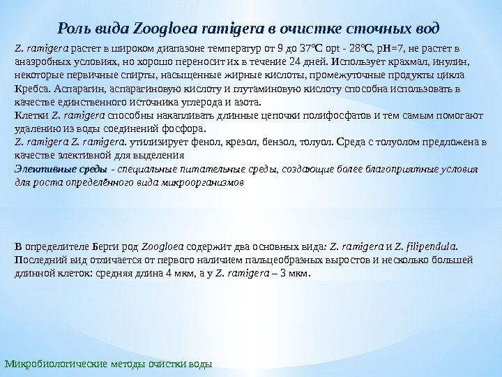 Микробиологические методы очистки воды Роль вида  Zoogloea ramigera в очистке сточных вод Z.