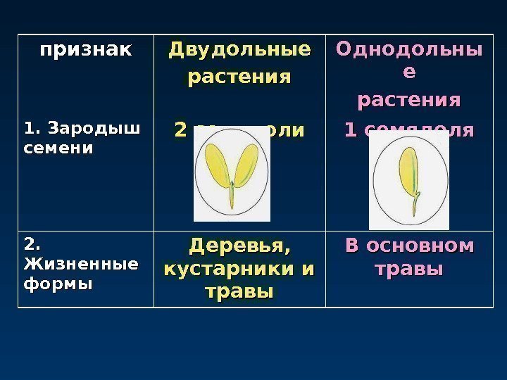 признак Двудольные растения Однодольны ее растения 1. Зародыш семени 2 семядоли 1 семядоля 2.