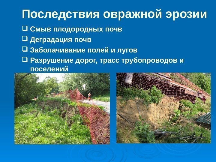 Последствия овражной эрозии Смыв плодородных почв Деградация почв Заболачивание полей и лугов Разрушение дорог,