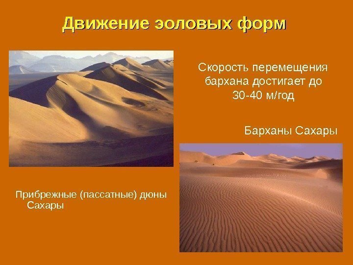 Движение эоловых форм Прибрежные (пассатные) дюны Сахары Барханы Сахары. Скорость перемещения бархана достигает до