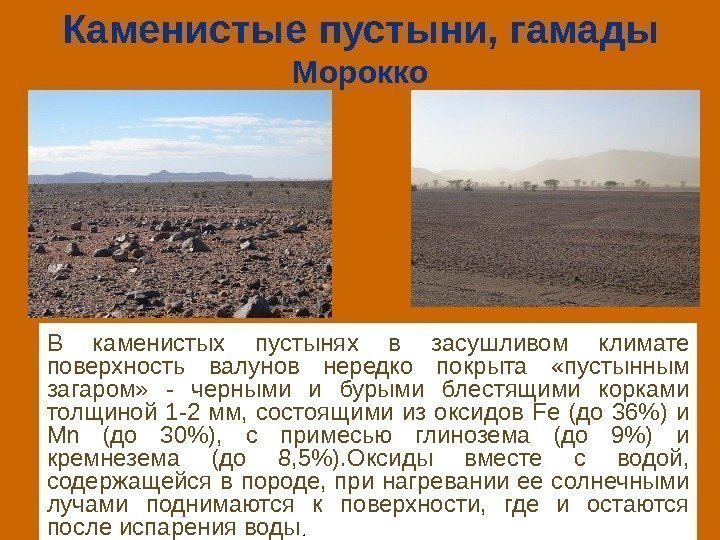 Каменистые пустыни, гамады Морокко В каменистых пустынях в засушливом климате поверхность валунов нередко покрыта