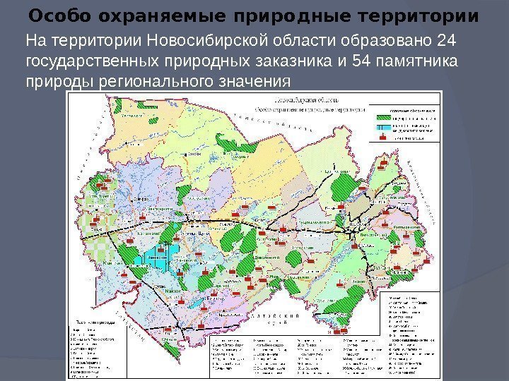 Особо охраняемые природные территории На территории Новосибирской области образовано 24 государственных природных заказника и