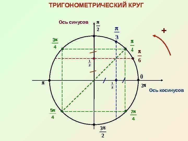 1 2 ТРИГОНОМЕТРИЧЕСКИЙ КРУГ Ось косинусов. Ось синусов 4 6 2 3 2 2