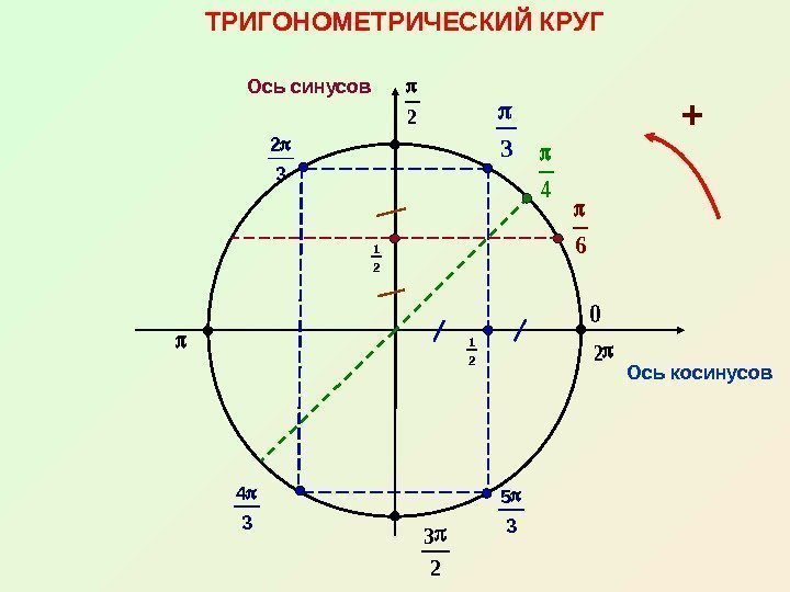 5 34 3 2 3 1 2 ТРИГОНОМЕТРИЧЕСКИЙ КРУГ Ось косинусов. Ось синусов 4