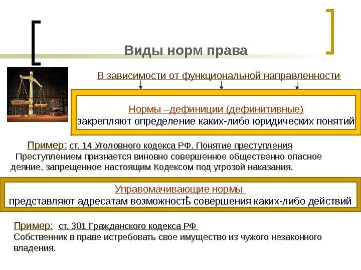 Виды норм права В зависимости от функциональной направленности Пример: ст. 301 Гражданского кодекса РФ