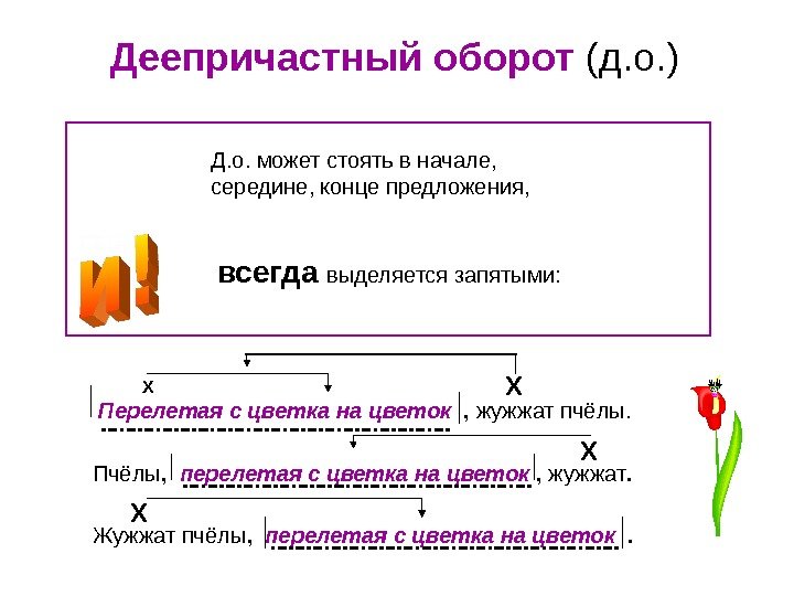 Деепричастный оборот (д. о. ) Д. о. может стоять в начале,  середине, конце