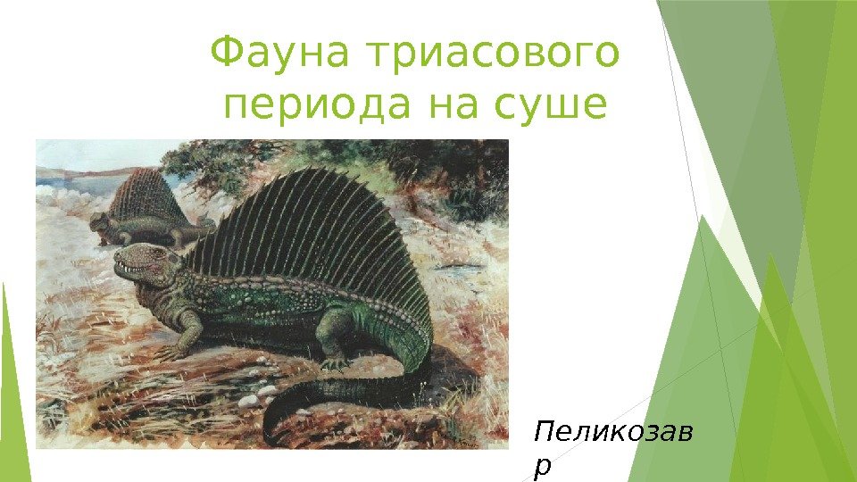 Фауна триасового периода на суше Пеликозав р   
