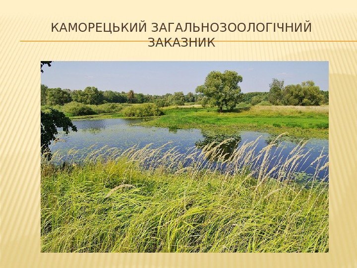 КАМОРЕЦЬКИЙ ЗАГАЛЬНОЗООЛОГІЧНИЙ ЗАКАЗНИК 