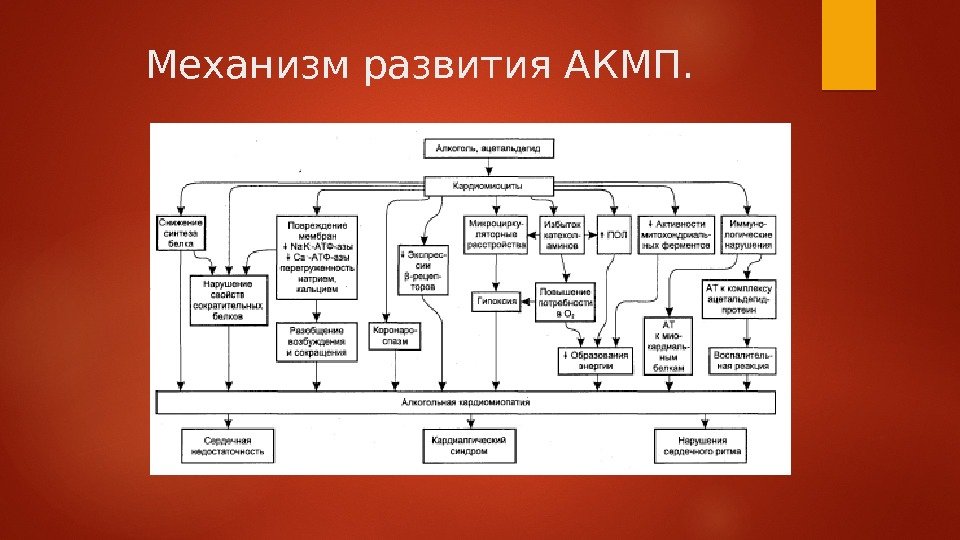   Механизм развития АКМП.  