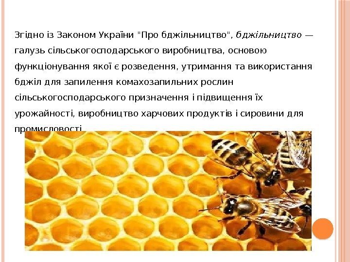 Згідно із Законом України Про бджільництво, бджільництво — галузь сільськогосподарського виробництва, основою функціонування якої