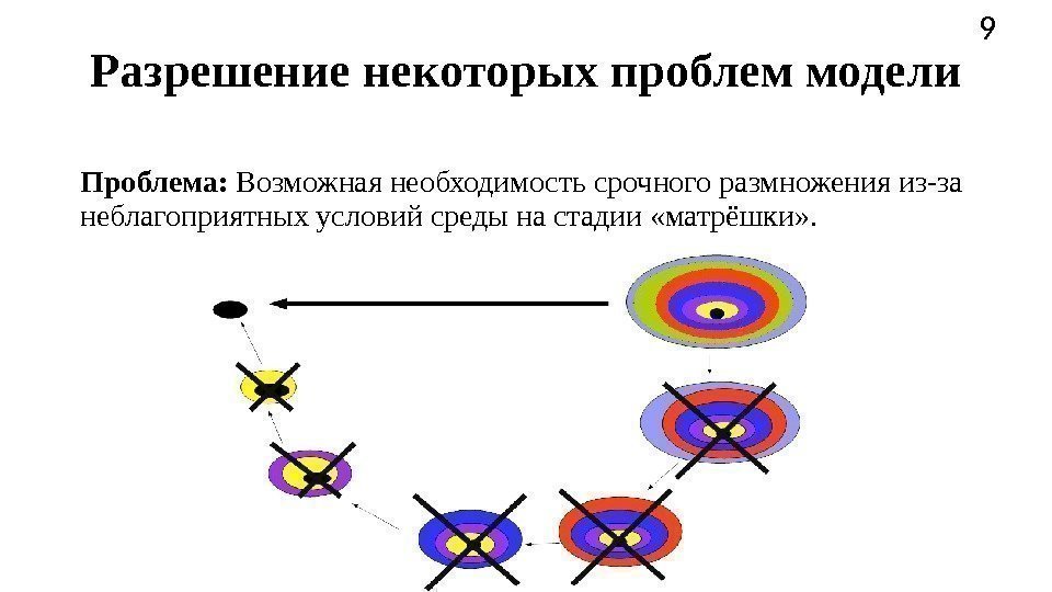 Проблема:  Возможная необходимость срочного размножения из-за неблагоприятных условий среды на стадии «матрёшки» .