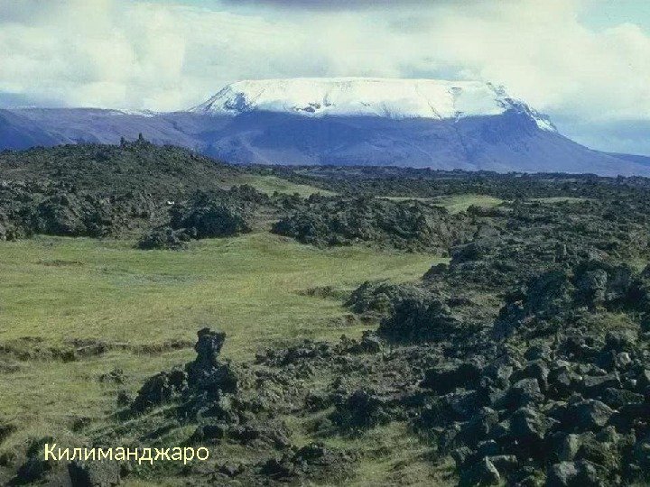 Восточно-Африканское плоскогорье Восточная Африка Великие Африканские разломы Нгоронгоро. Рувензори – Лунные горы Килиманджаро 