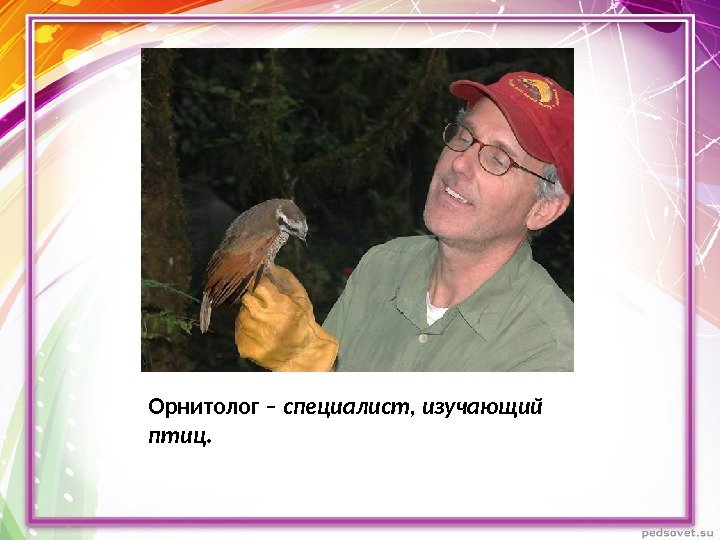 Орнитолог – специалист, изучающий птиц. 