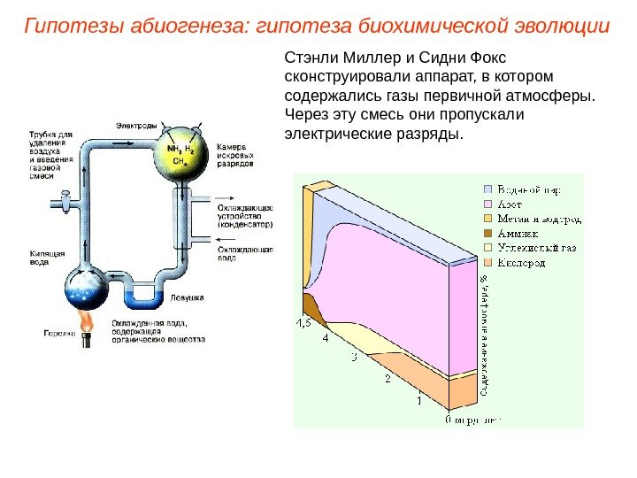 Стэнли Миллер и Сидни Фокс сконструировали аппарат, в котором содержались газы первичной атмосферы. 