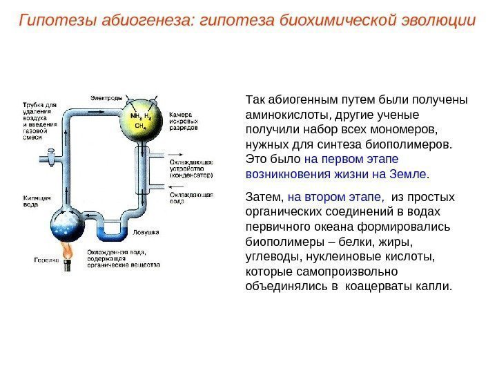 Так абиогенным путем были получены аминокислоты, другие ученые получили набор всех мономеров,  нужных