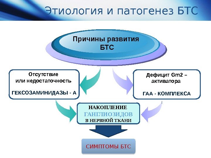 Этиология и патогенез БТС Отсутствие или недостаточность ГЕКСОЗАМИНИДАЗЫ - А Причины развития БТС Дефицит