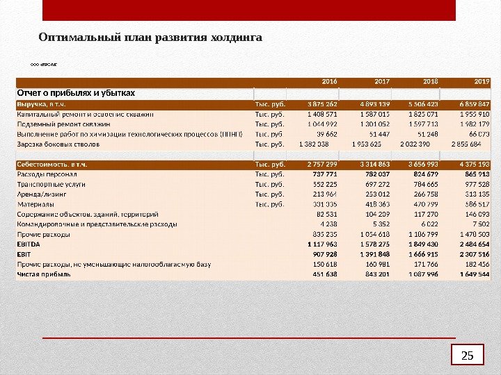 Оптимальный план развития холдинга ООО «КРС-МГ 25 