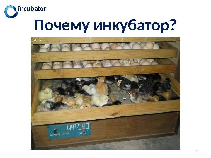 18 incubator Почему инкубатор? 