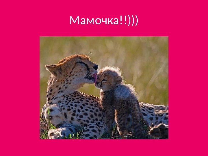 Мамочка!!))) 