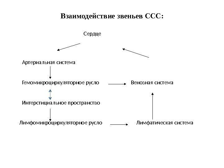     Сердце Артериальная система Гемомикроциркуляторное русло     Венозная