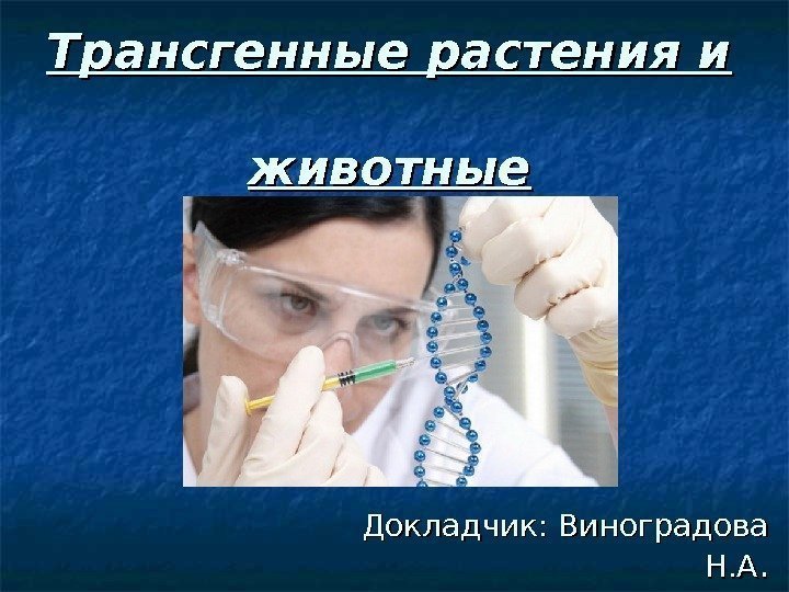 Трансгенные растения и животные Докладчик: Виноградова Н. А. . 