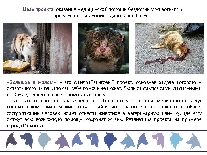  «Большое в малом»  – это фандрайзинговый проект,  основная задача которого –