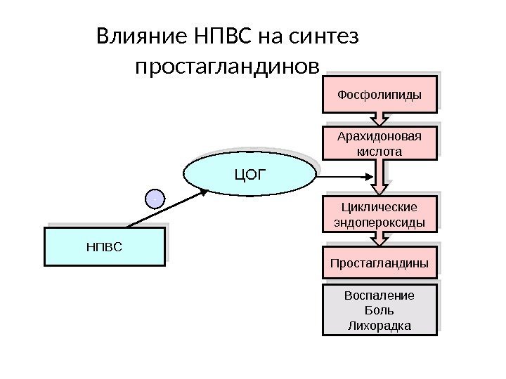 Влияние НПВС на синтез простагландинов Простагландины Арахидоновая кислота Циклические эндопероксиды Фосфолипиды Воспаление Боль Лихорадка.