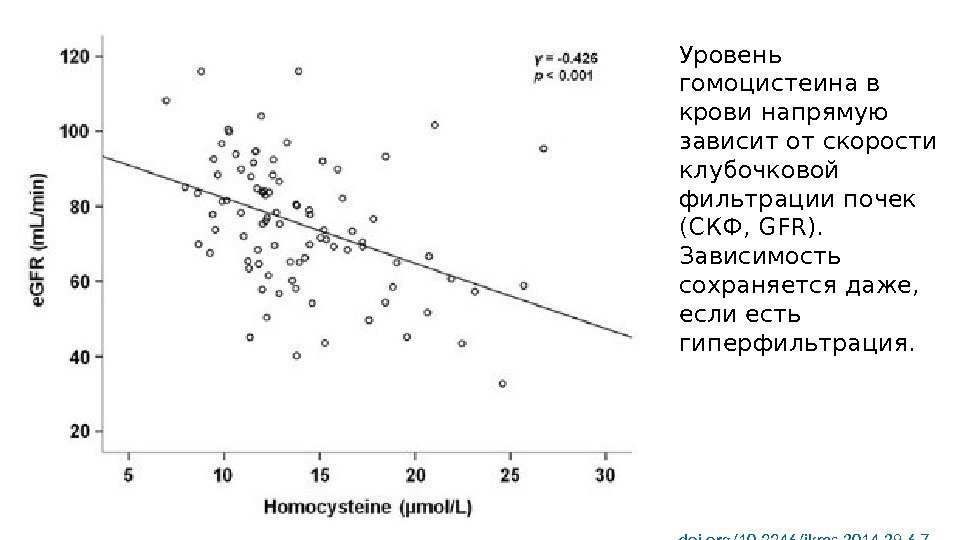 Уровень гомоцистеина в крови напрямую зависит от скорости клубочковой фильтрации почек (СКФ, GFR). 