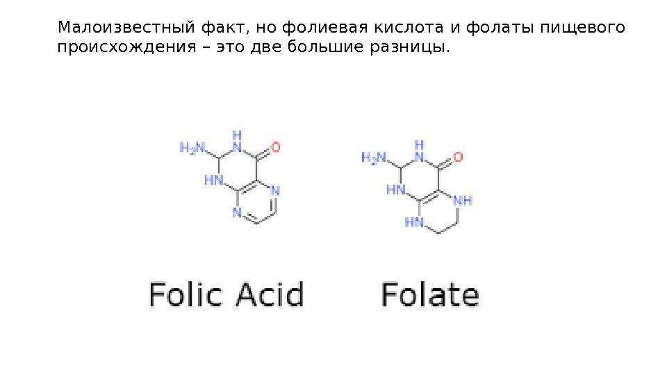 Малоизвестный факт, но фолиевая кислота и фолаты пищевого происхождения – это две большие разницы.