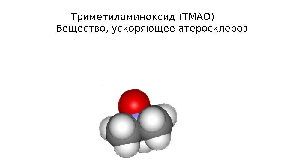  Триметиламиноксид (ТМАО) Вещество, ускоряющее атеросклероз 