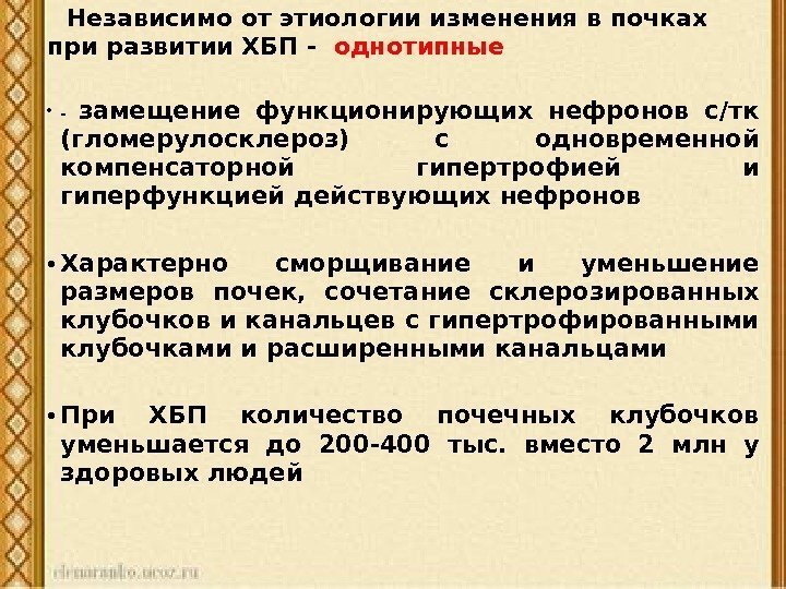  Независимо от этиологии изменения в почках при развитии ХБП -  однотипные 