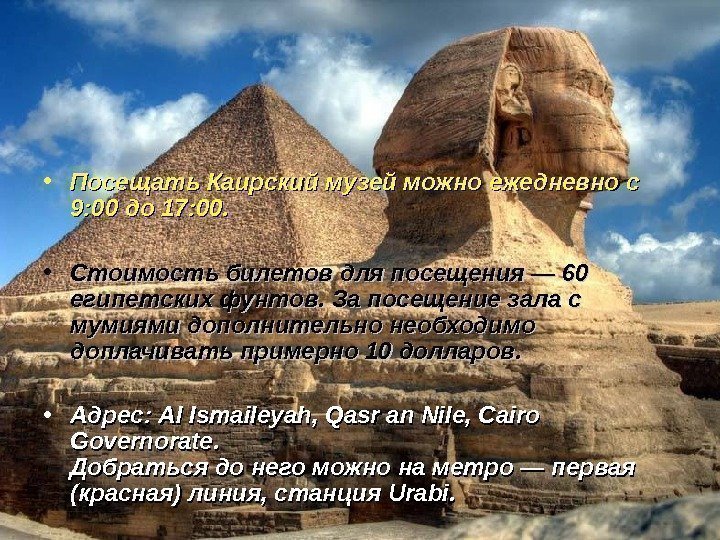   • Посещать Каирский музей можно ежедневно с 9: 00 до 17: 00.