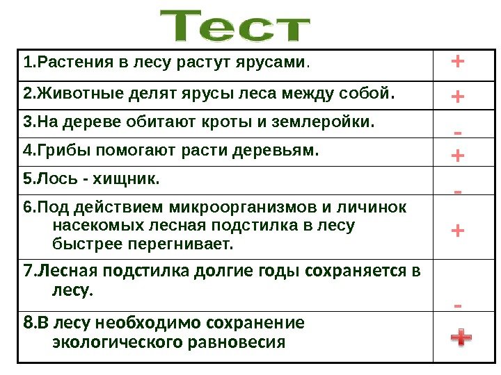 1. Растения в лесу растут ярусами. 2. Животные делят ярусы леса между собой. 3.