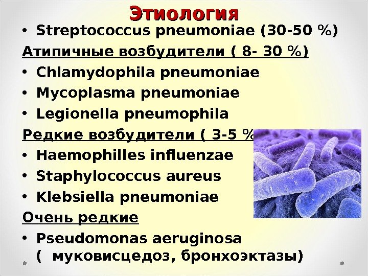 Этиология • Streptococcus pneumoniae ( 30 -50  ) Атипичные возбудители ( 8 -