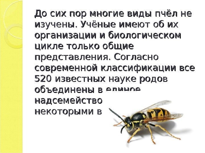 До сих пор многие виды пчёл не изучены. Учёные имеют об их организации и