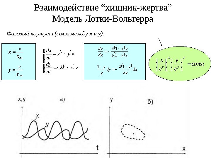 Фазовый портрет (связь между x и y ):  стx x x стy y