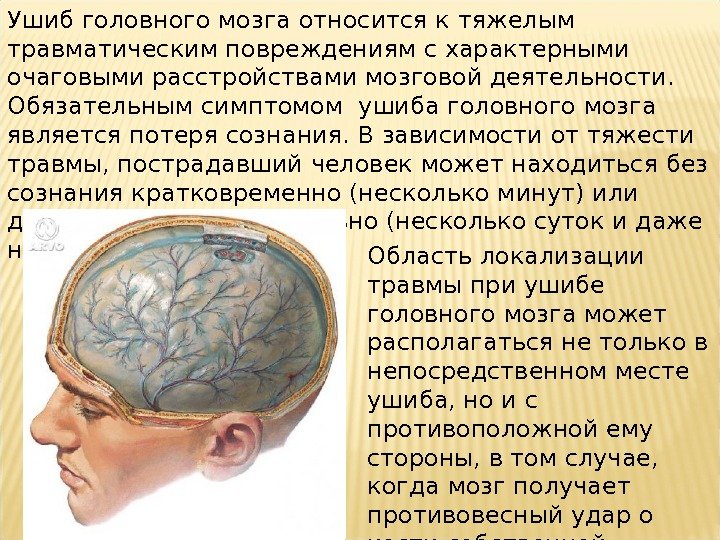 Ушиб головного мозга относится к тяжелым травматическим повреждениям с характерными очаговыми расстройствами мозговой деятельности.