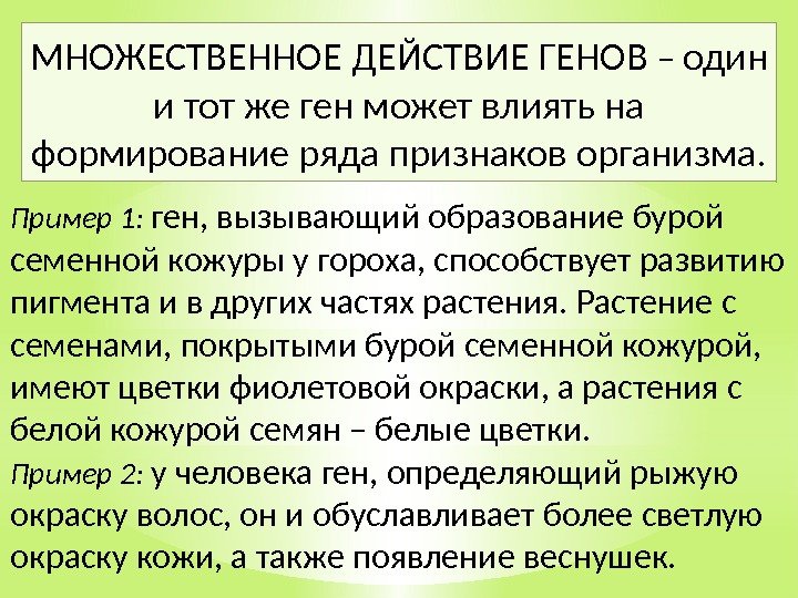 Пример 1:  ген, вызывающий образование бурой семенной кожуры у гороха, способствует развитию пигмента